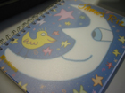 iRene  Diary~~